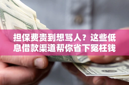 北京担保费贵到想骂人？这些低息借款渠道帮你省下冤枉钱